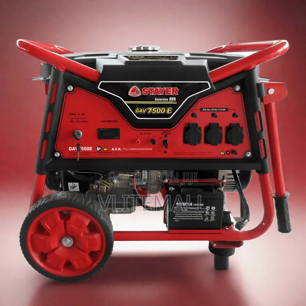 Stayer GAV7500E
Gasoline Generator