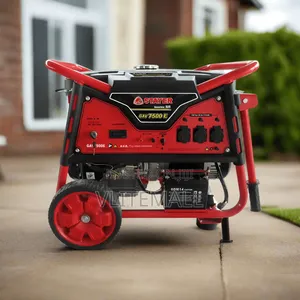Stayer GAV7500E
Gasoline Generator