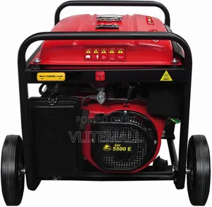 Stayer GAV 5500 E Heavy-Duty Single-Phase Gasoline
