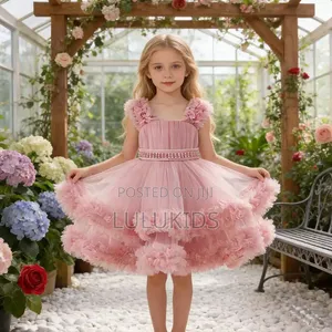 Luxury Princess Dress