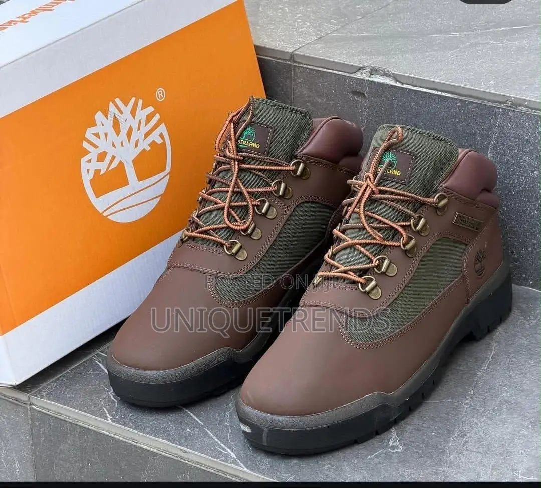 TIMBERLAND Men's Waterproof Field Boots (Dark Brown)