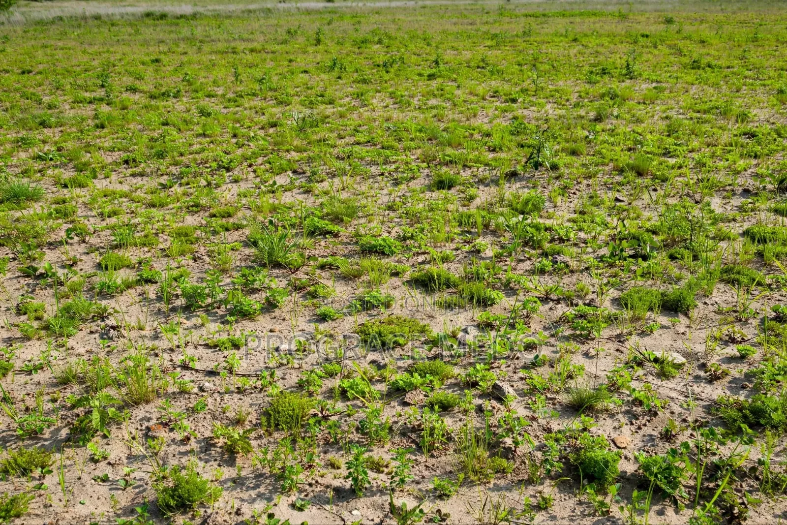 Noble Estate Land for Sale Off Prampram