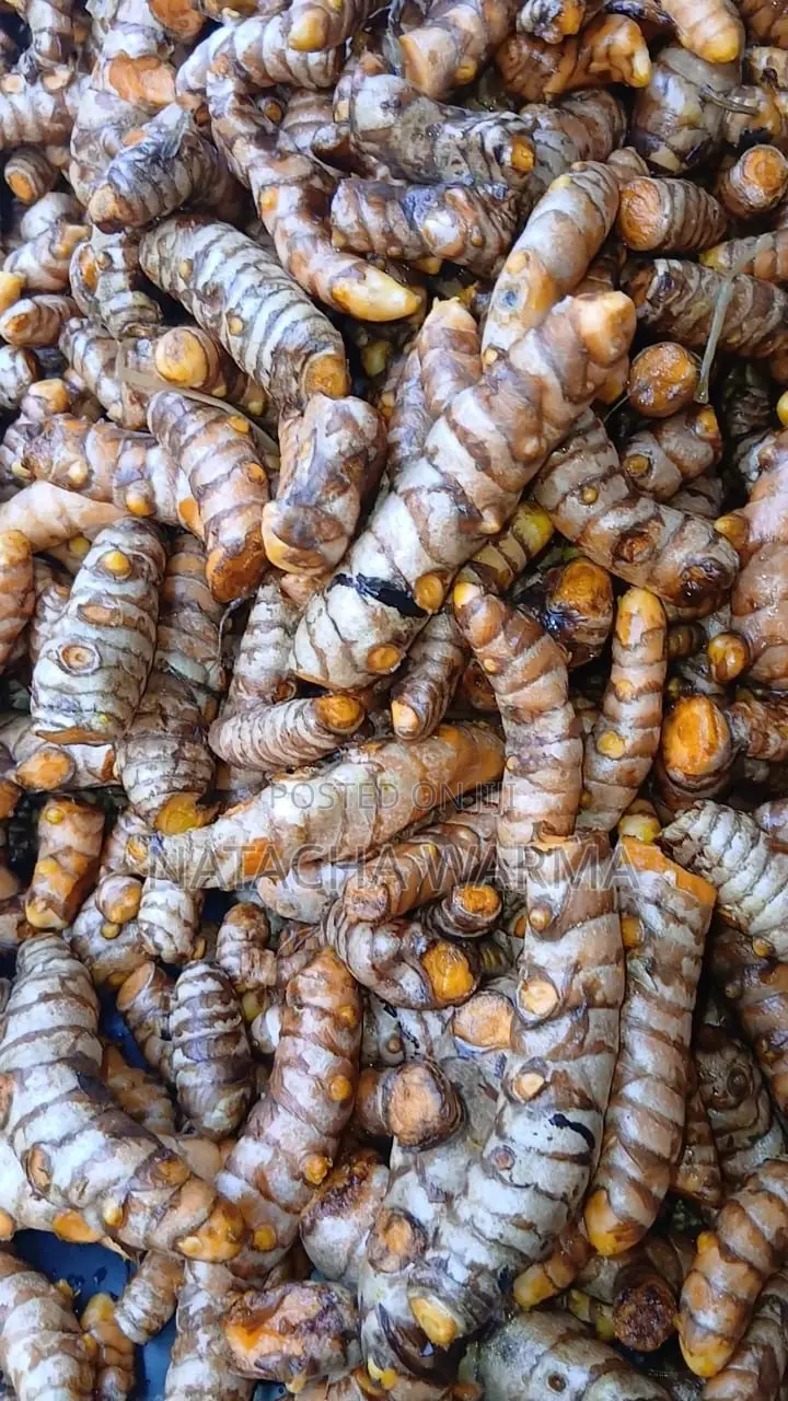 Fresh Turmeric