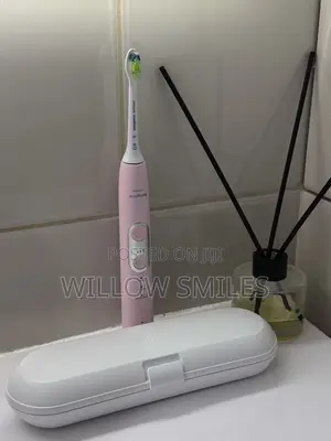Electric Brush & Travel Case