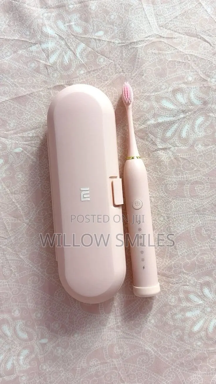 Electric Brush & Travel Case