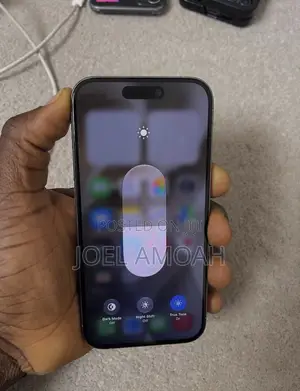 Apple iPhone 15 Pro Max 256 GB Silver
