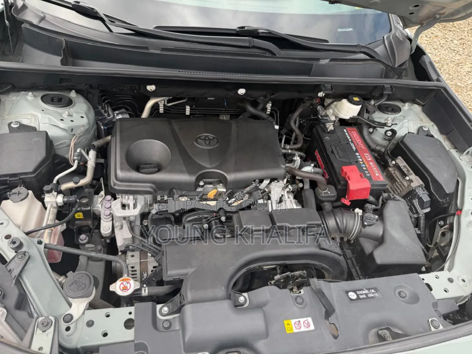 Toyota RAV4 2021 Green