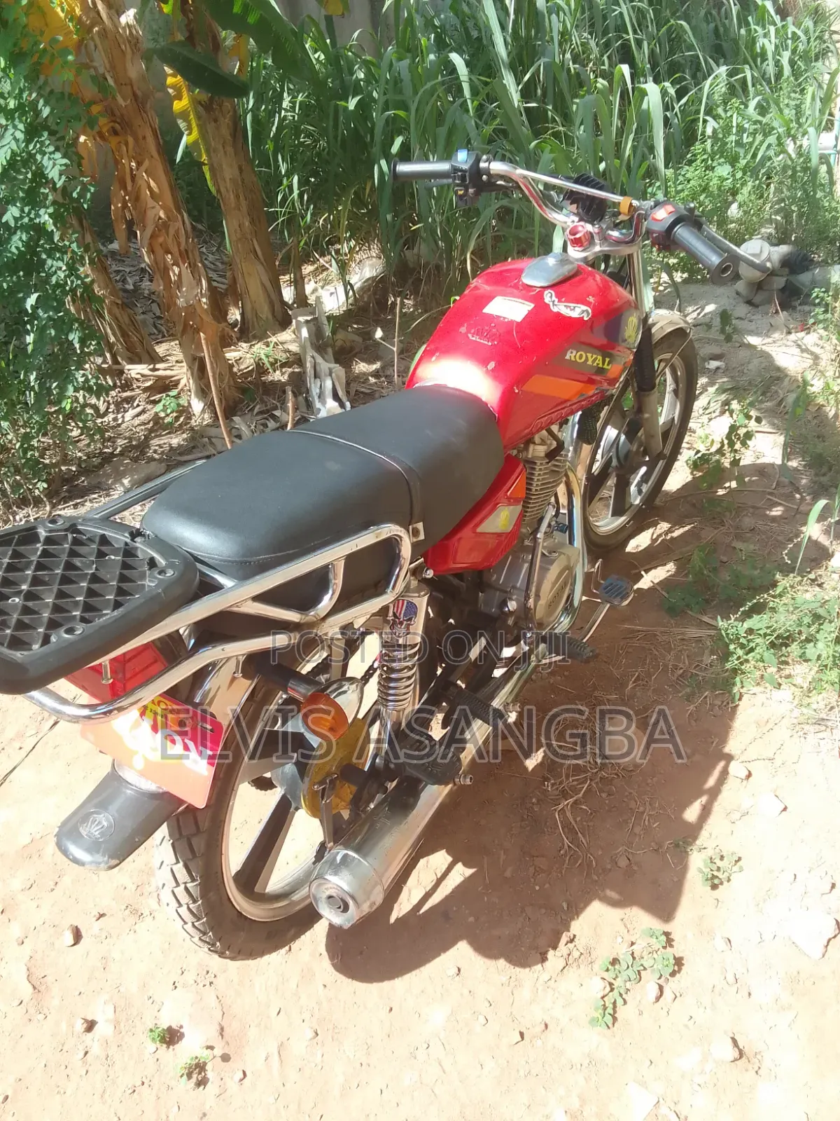 Royal RY125 2025 Red