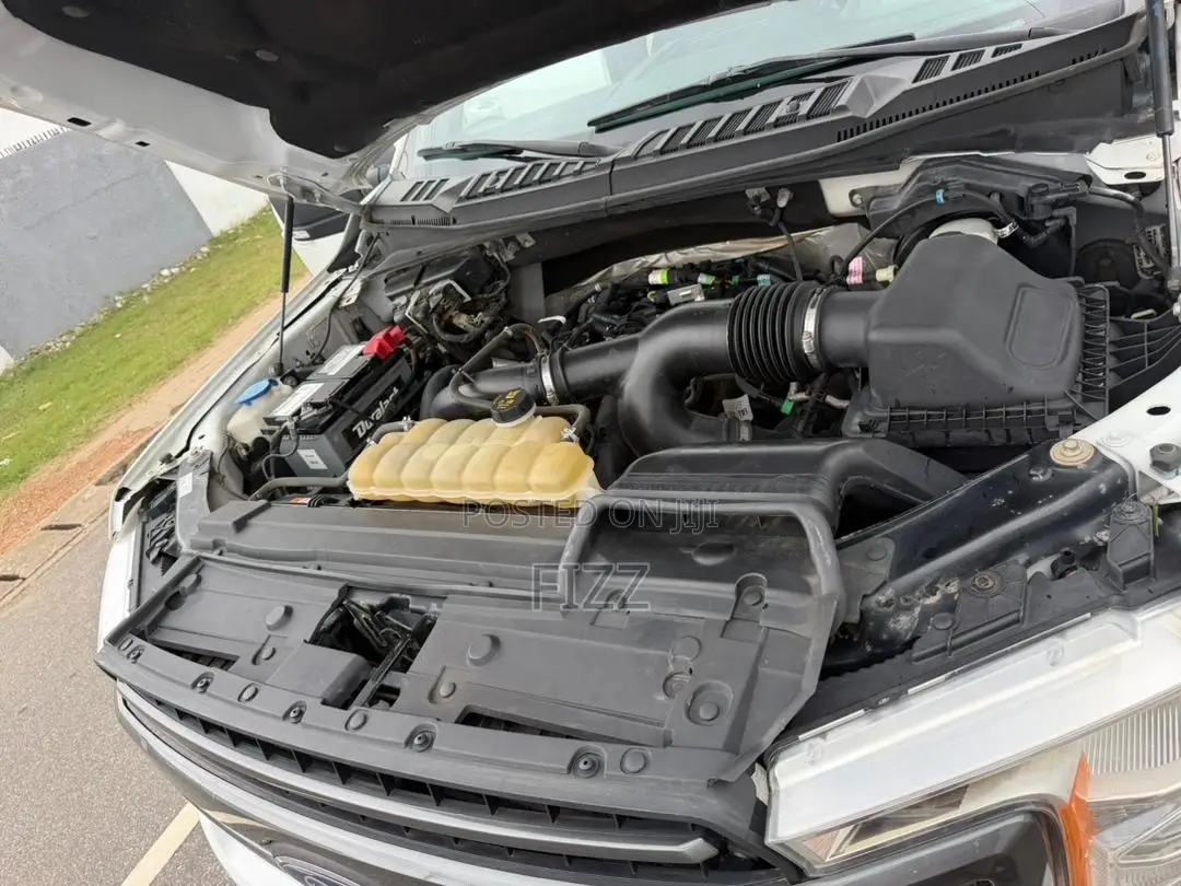 Ford F-150 2019 White