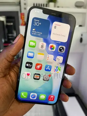 Apple iPhone 12 Pro Max 256 GB Blue