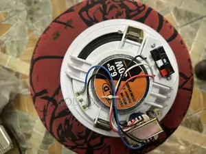 Ceiling Speaker 6.5 Inches 30W