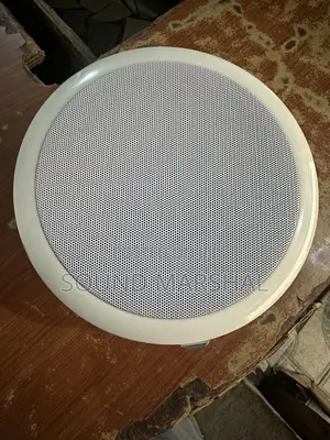 Ceiling Speaker 6.5 Inches 30W