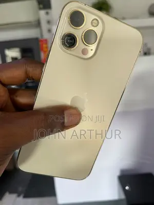 Apple iPhone 12 Pro Max 256 GB Gold