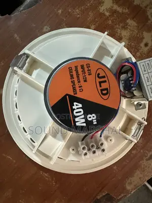 Ceiling Speaker JLD 8 Inches 40W
