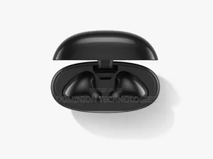 Lenovo E310 True Wireless Stereo Earbuds