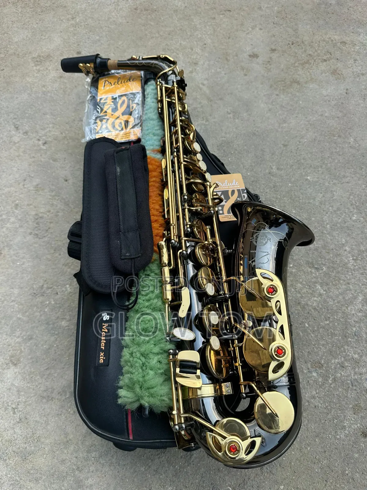 Selmer Alto Saxophone - Gold & Black