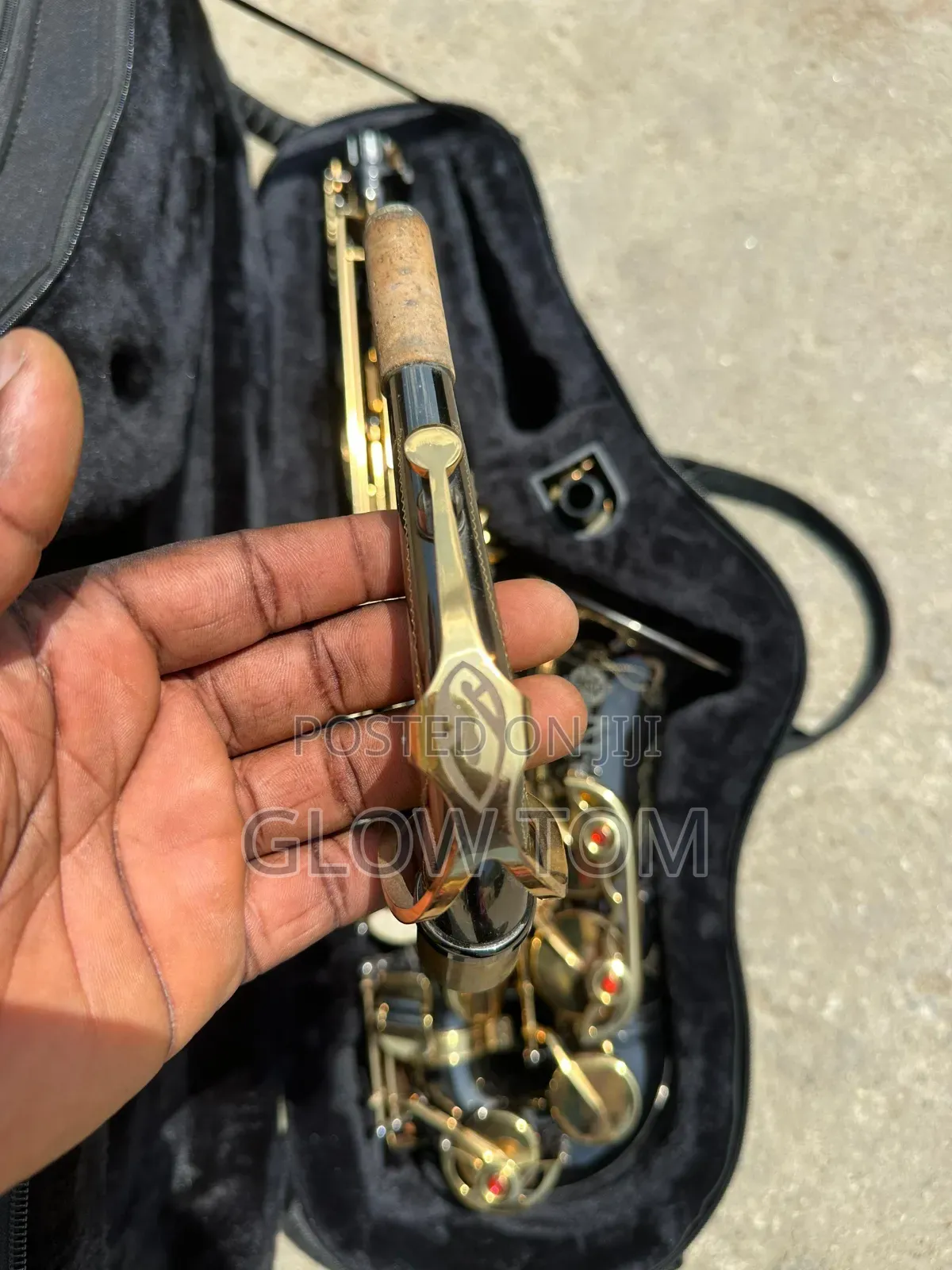 Selmer Alto Saxophone - Gold & Black