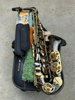 Selmer Alto Saxophone - Gold & Black