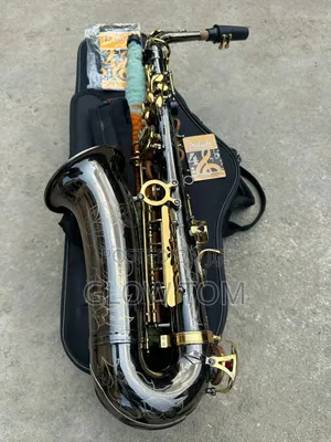 Selmer Alto Saxophone - Gold & Black