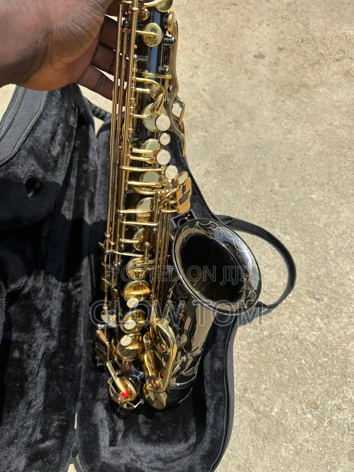 Selmer Alto Saxophone - Gold & Black