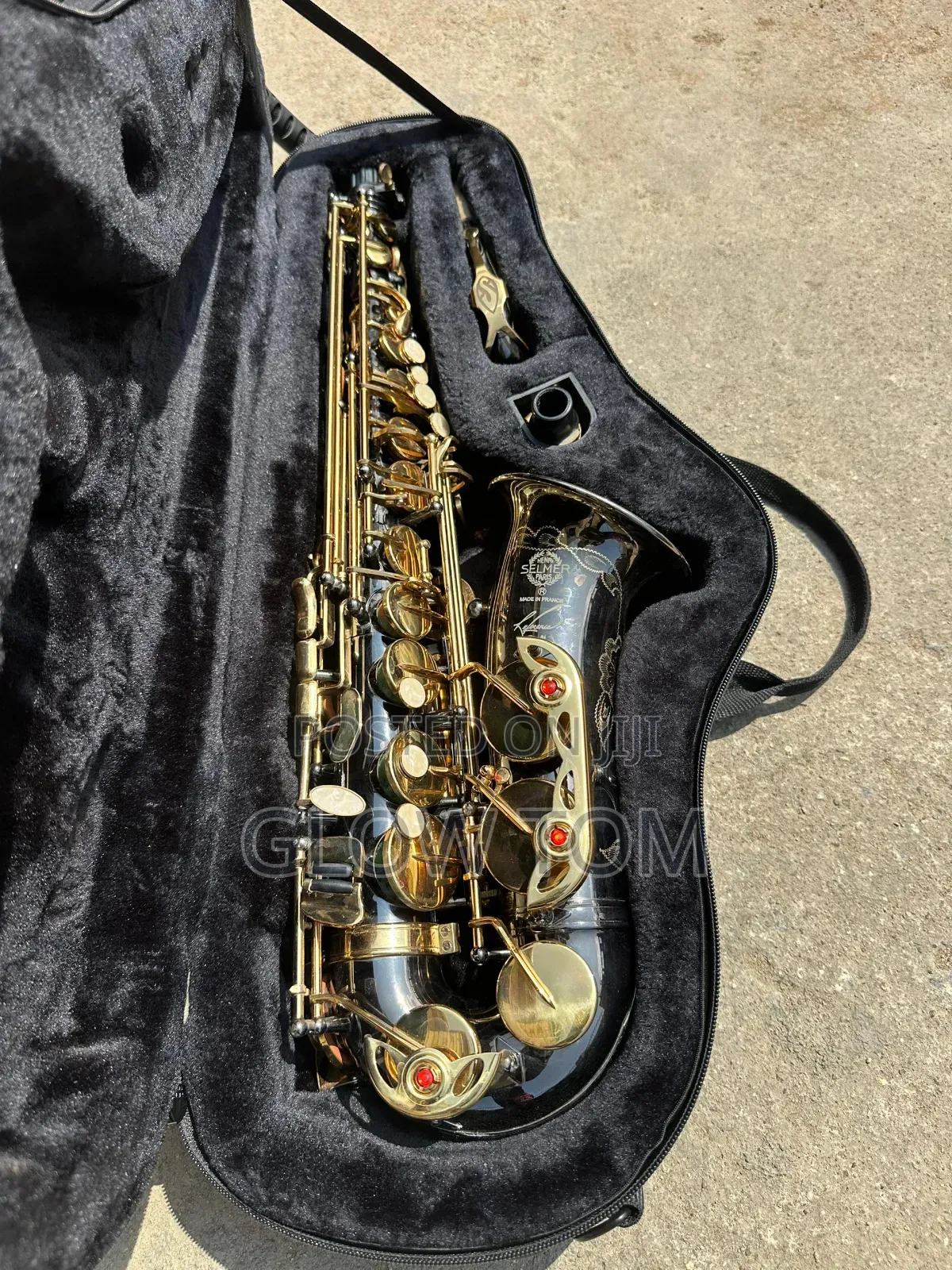 Selmer Alto Saxophone - Gold & Black