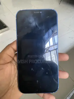 Apple iPhone 12 256 GB Blue