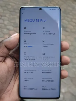 Meizu 18 Pro 256 GB Silver