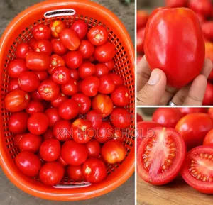  Fresh Quality Tomatoes – GH₵38 Per KG