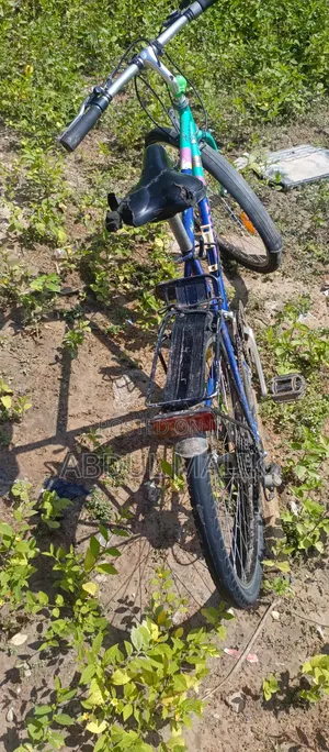 Classic Vintage City Commuter Bicycle