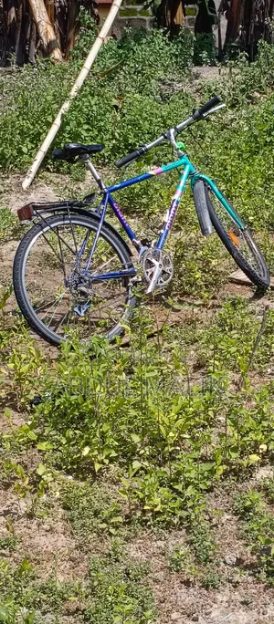 Classic Vintage City Commuter Bicycle