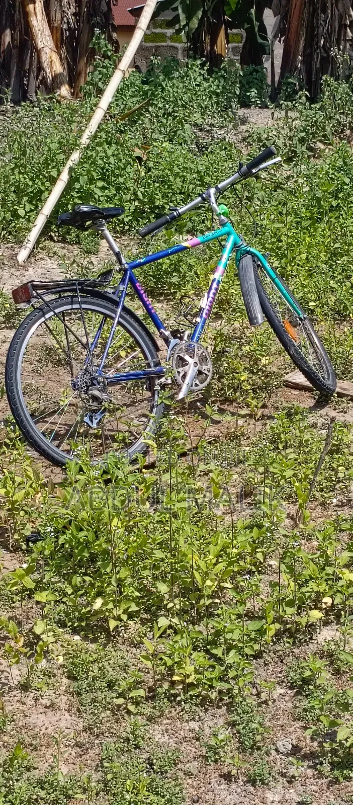 Classic Vintage City Commuter Bicycle