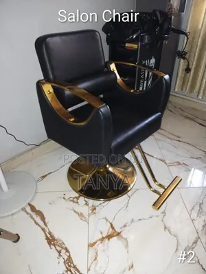 Salon Chair