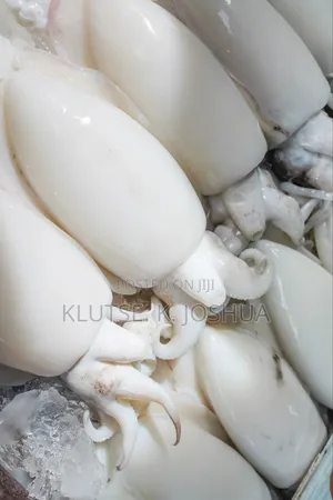 Cattle Fish
