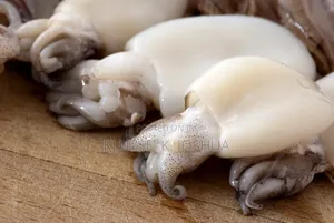 Cattle Fish