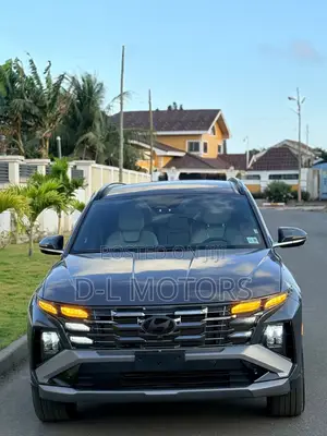Hyundai Tucson Limited AWD 2025 Gray