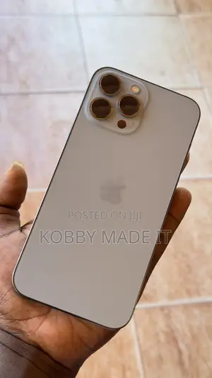 Apple iPhone 13 Pro Max 256 GB White