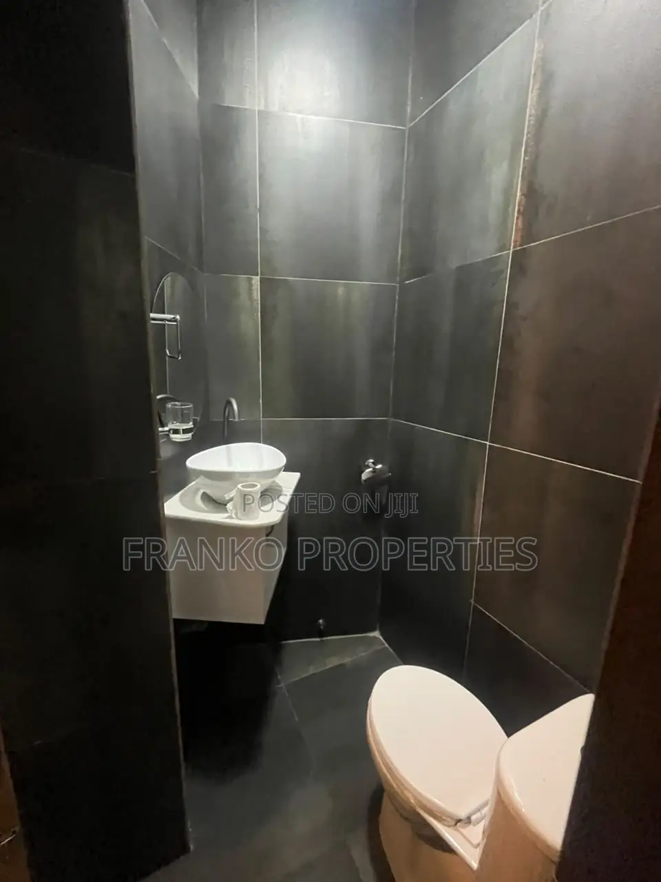 1bdrm Apartment in Franko Properties, Ability for rent