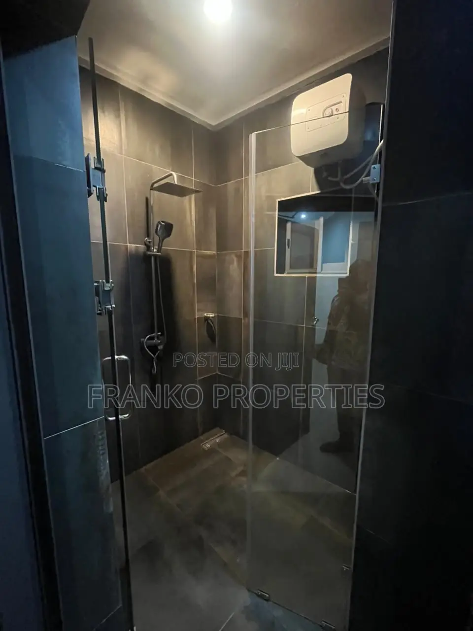 1bdrm Apartment in Franko Properties, Ability for rent