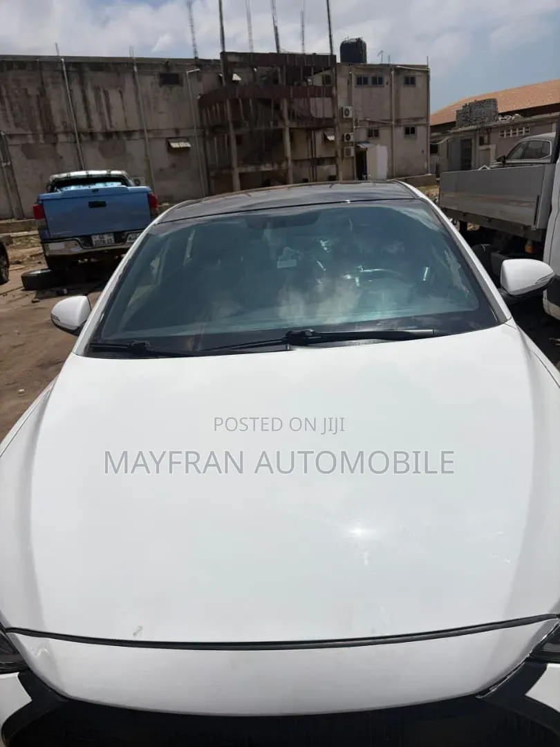 Hyundai Elantra ECO 2018 White