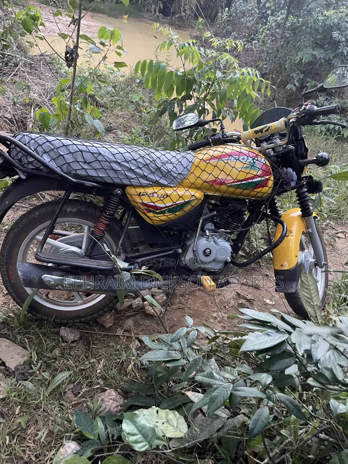 Bajaj Boxer 2026 Yellow