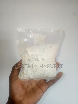 Oyster Mushroom Spawn Seed