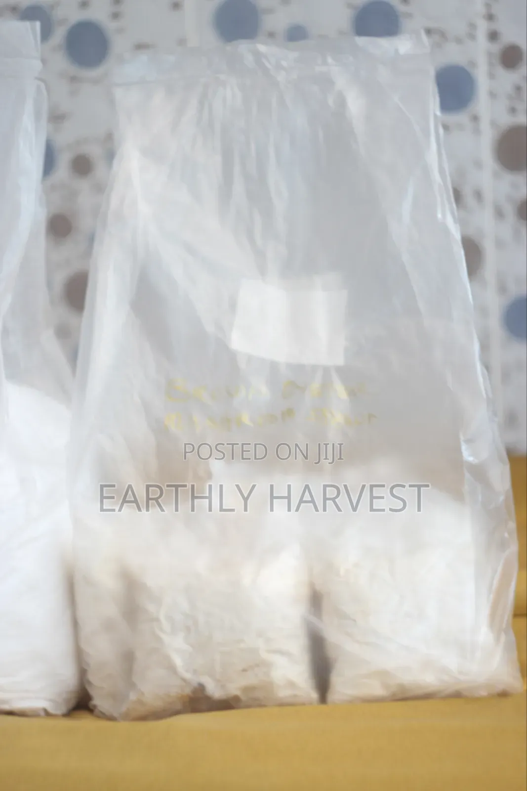 Oyster Mushroom Spawn Seed