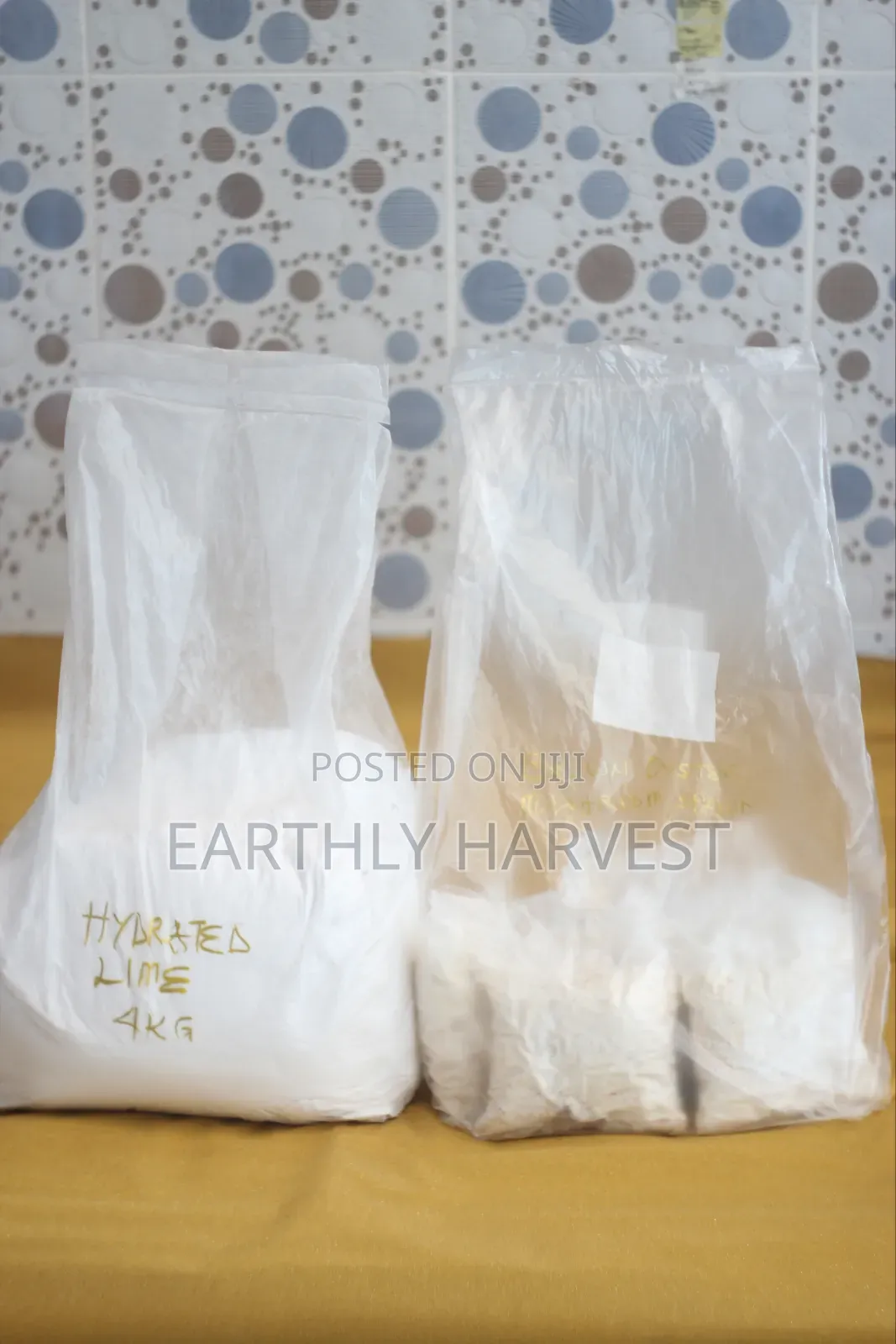 Oyster Mushroom Spawn Seed