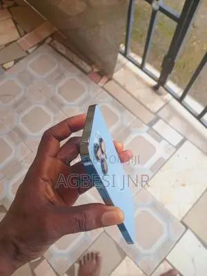 Apple iPhone 13 Pro Max 256 GB Blue