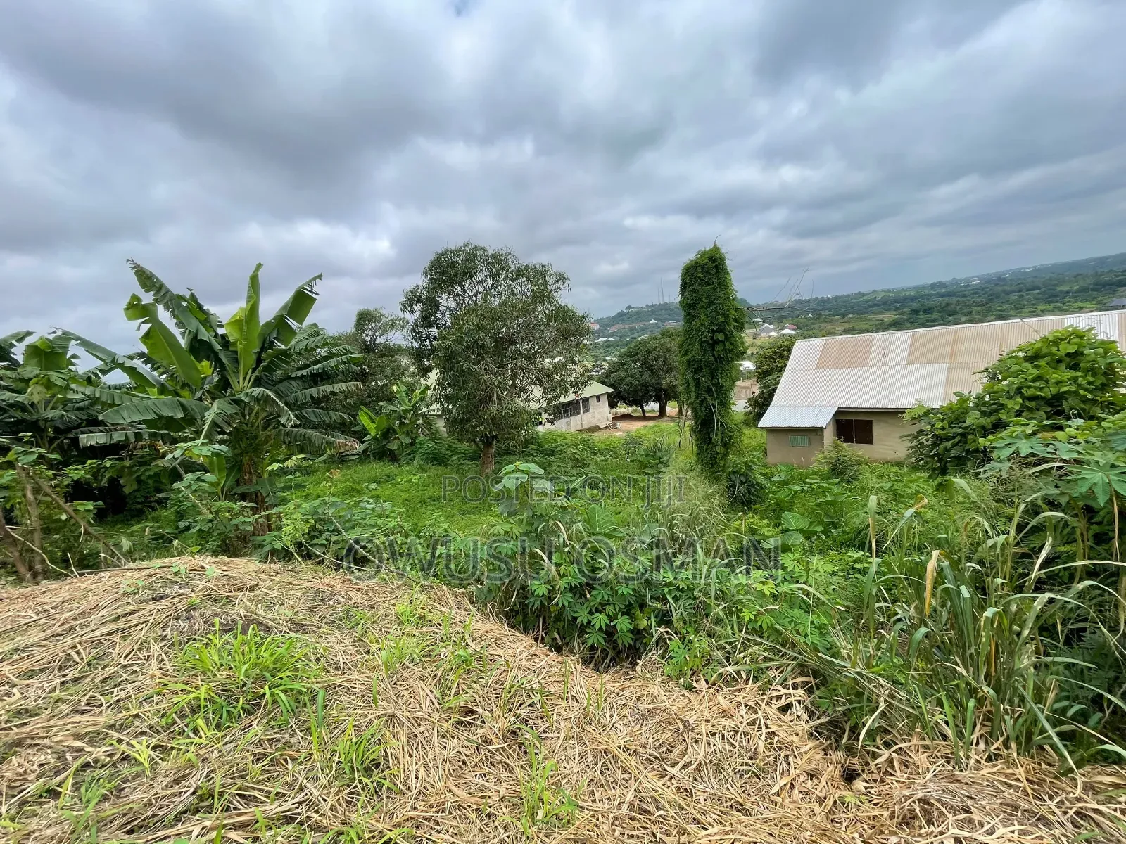 One Plot of Land for Sale