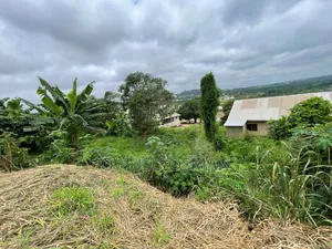 One Plot of Land for Sale