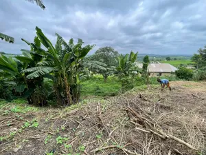 One Plot of Land for Sale