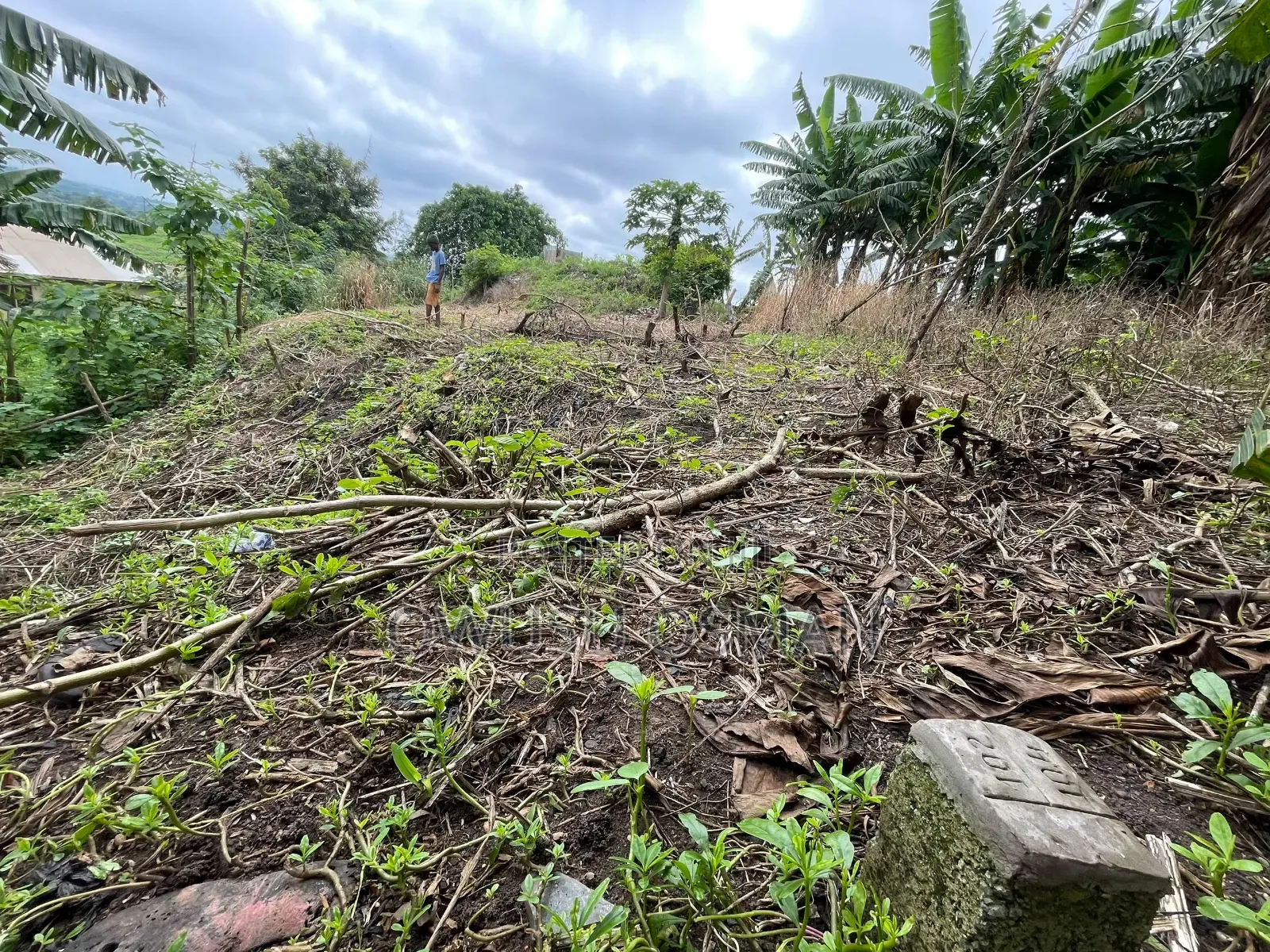One Plot of Land for Sale