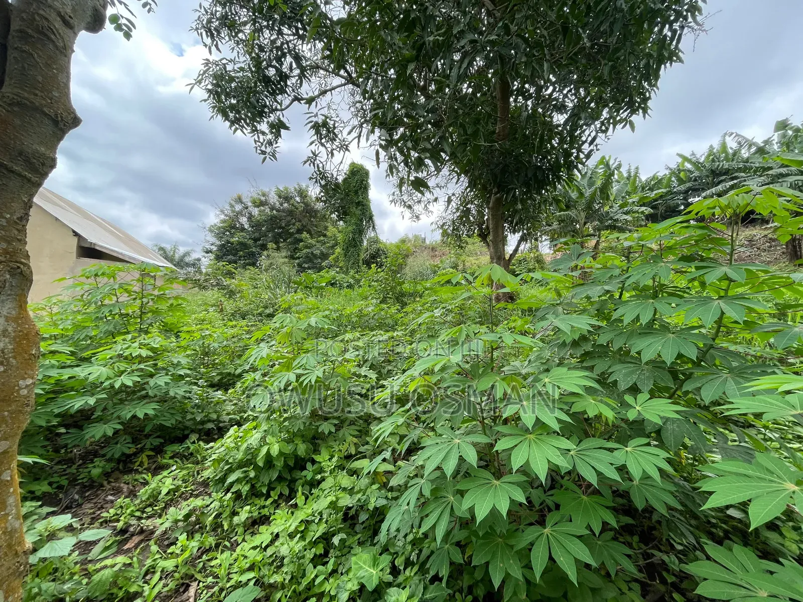 One Plot of Land for Sale