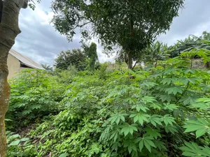 One Plot of Land for Sale